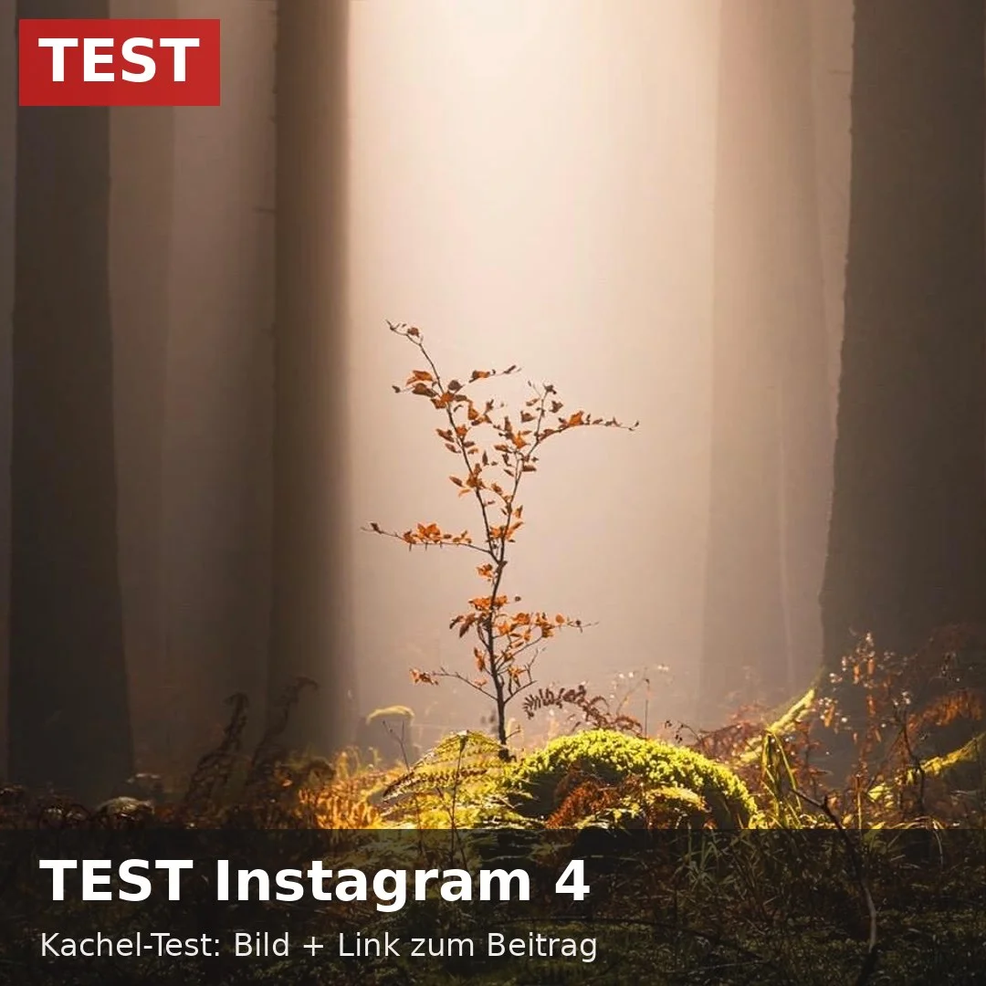 Instagram-Beitrag von FELSLICHT